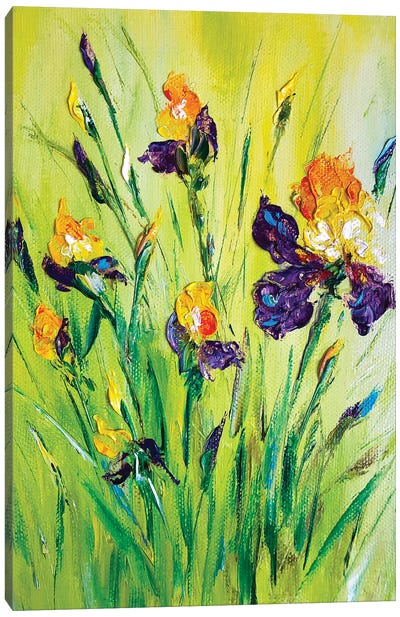 Meadow Irises IX Canvas Art Print