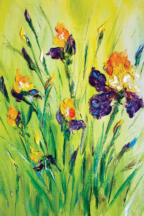 Meadow Irises IX by Marina Skromova wall art