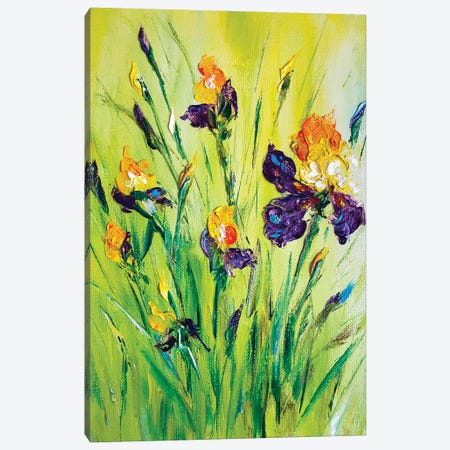 Meadow Irises IX Canvas Print #SMV365} by Marina Skromova Canvas Artwork