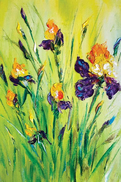 Irises: Meadow Irises IX by Marina Skromova