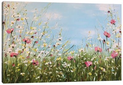 Field Daisies II Canvas Art Print - Daisy Art