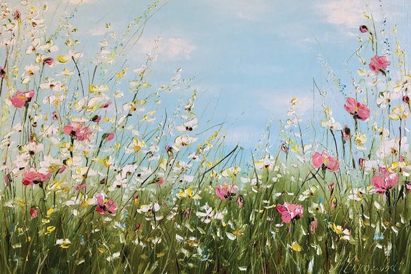 Fields, Grasslands & Meadows: Field Daisies II by Marina Skromova