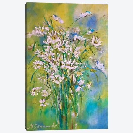 Field Daisies Canvas Print #SMV381} by Marina Skromova Canvas Art Print