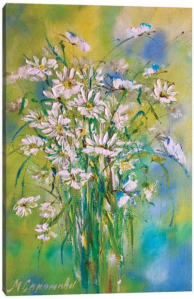 Field Daisies Canvas Art Print - Marina Skromova