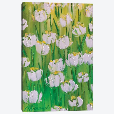 White Tulips Canvas Print #SMV385} by Marina Skromova Canvas Wall Art
