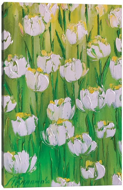 White Tulips Canvas Art Print - Tulip Art