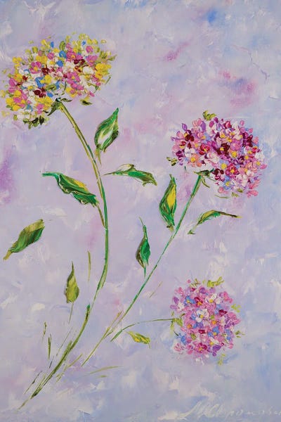 Hydrangeas: Hydrangea II by Marina Skromova