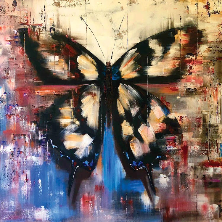 Black White Butterflies by Marina Skromova wall art