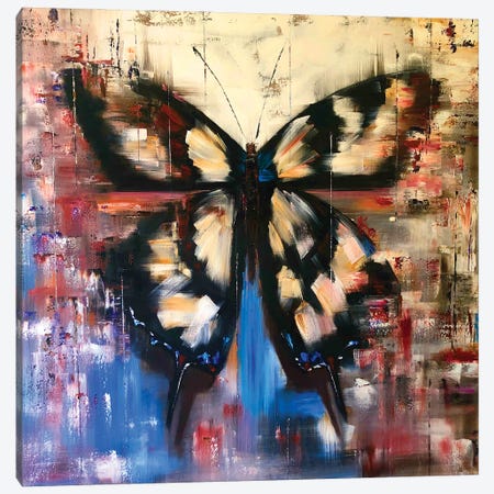 Black White Butterflies Canvas Print #SMV422} by Marina Skromova Canvas Artwork