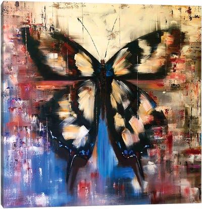 Black White Butterflies Canvas Art Print - Marina Skromova