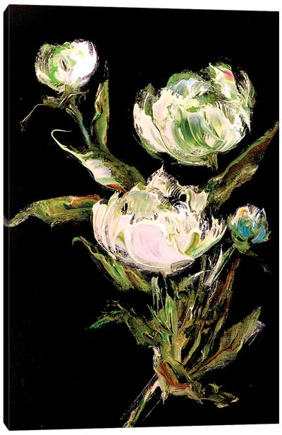 Black Flowers Canvas Art Print - Marina Skromova