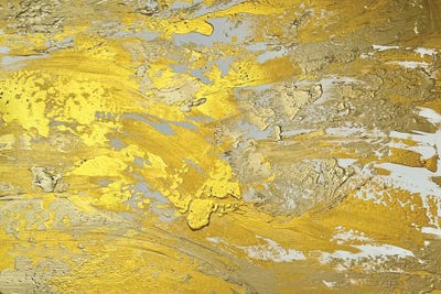 Interior Gold Abstract II by Marina Skromova metal wall art