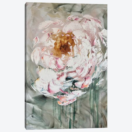 White Pink Peony Canvas Print #SMV513} by Marina Skromova Canvas Artwork