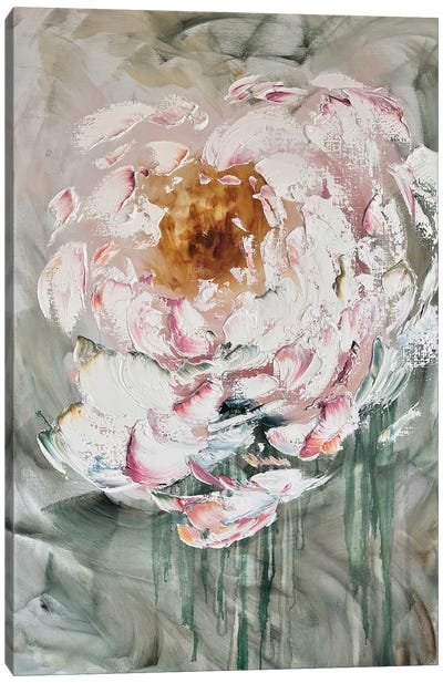 White Pink Peony Canvas Art Print - Marina Skromova