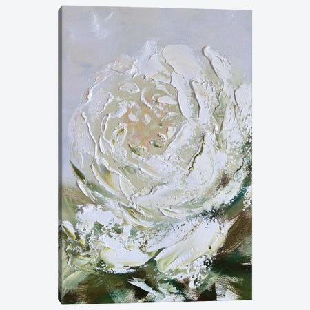 White Abstract Peony Canvas Print #SMV523} by Marina Skromova Canvas Print