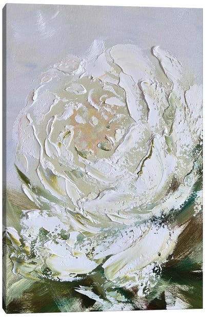 White Abstract Peony Canvas Art Print - Marina Skromova