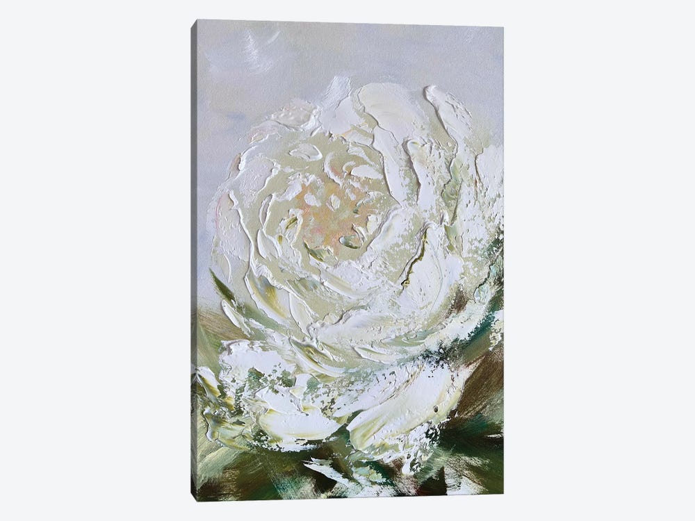 White Abstract Peony by Marina Skromova 1-piece Canvas Print