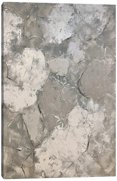White Gray Abstraction Canvas Art Print - Marina Skromova