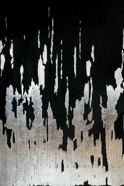 Black And Silver by Marina Skromova framed canvas print