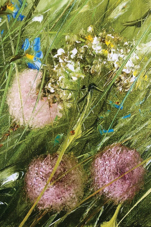 Dandelions III