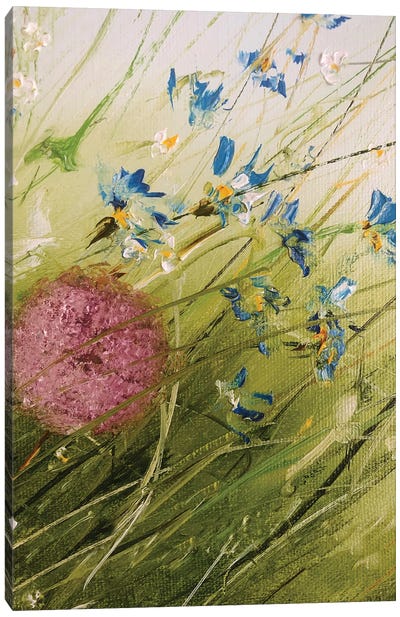 Dandelions II Canvas Art Print - Marina Skromova