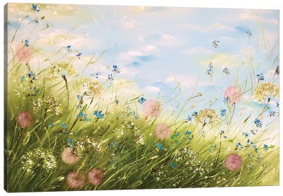Dandelions Canvas Art Print - Marina Skromova