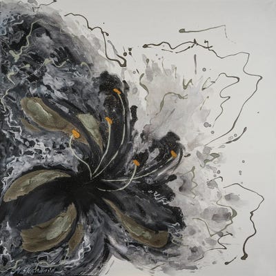 Black Veil by Marina Skromova canvas print