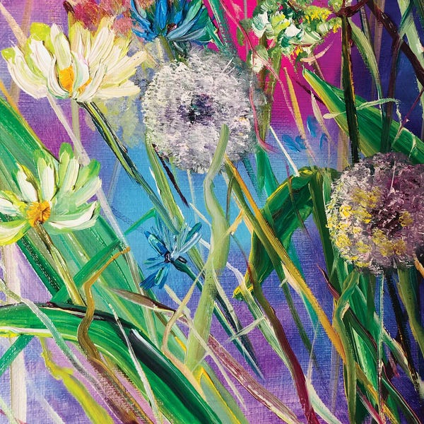Dandelions: Magenta Garden II by Marina Skromova