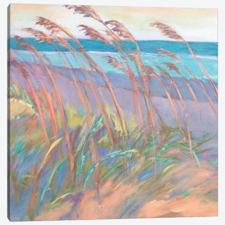 Dunes At Dusk I Canvas Print #SMW12} by Suzanne Wilkins Canvas Artwork