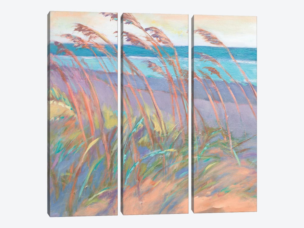 Dunes At Dusk I by Suzanne Wilkins 3-piece Canvas Artwork