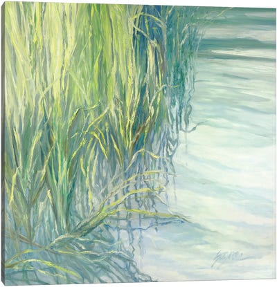 Sweetgrass Canvas Art Print - Suzanne Wilkins