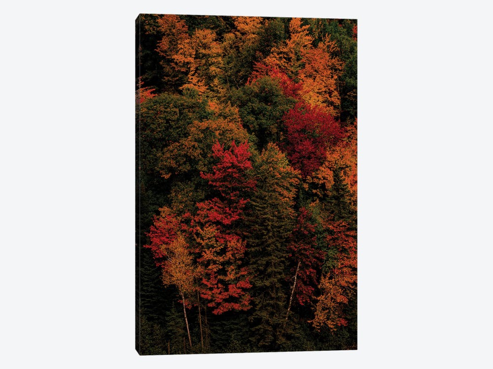 Fall Colors by Sean Marier 1-piece Art Print