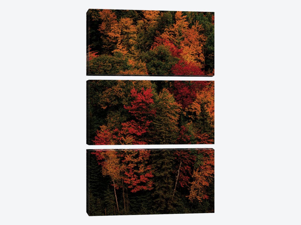 Fall Colors by Sean Marier 3-piece Art Print