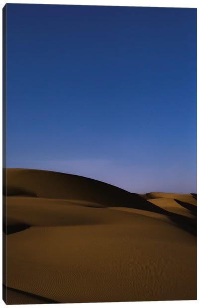 Desert Blues Canvas Art Print - Sean Marier