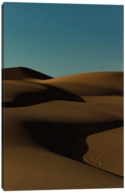 Desert Escape Canvas Art Print - Sean Marier