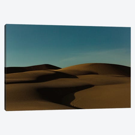 Desert Landscape Canvas Print #SMX145} by Sean Marier Canvas Art Print