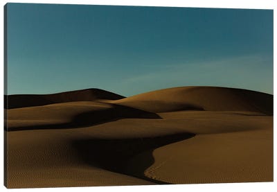 Desert Landscape Canvas Art Print - Sean Marier