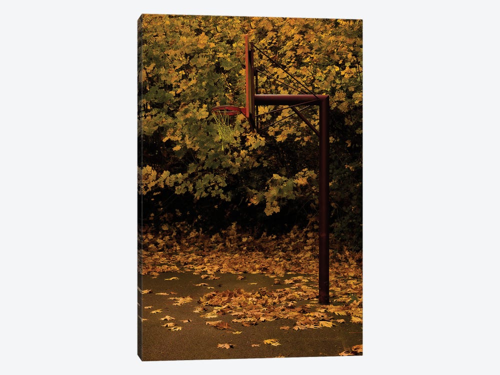 Autumn Hoops by Sean Marier 1-piece Canvas Art Print