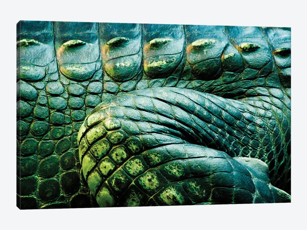 Crocodile Scales by Sean Marier 1-piece Canvas Print