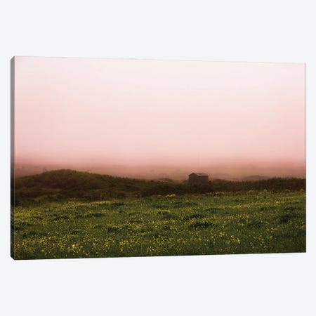 Wildflowers In The Fog Canvas Print #SMX175} by Sean Marier Canvas Wall Art