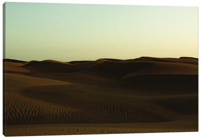 Under Desert Skies Canvas Art Print - Sean Marier