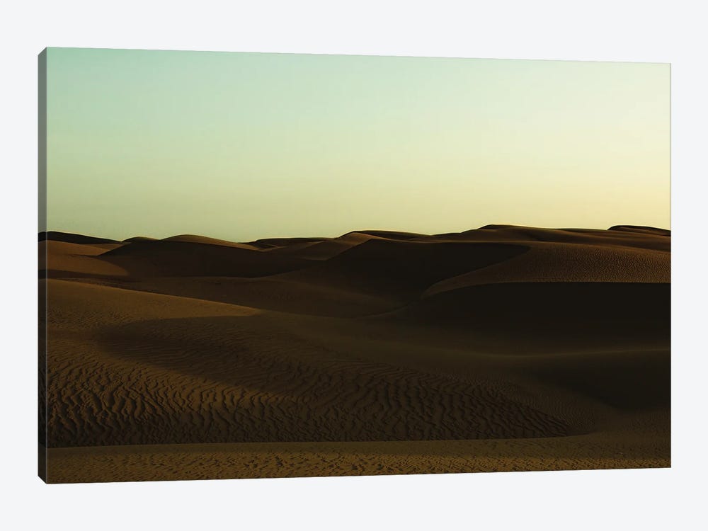 Under Desert Skies by Sean Marier 1-piece Canvas Art Print