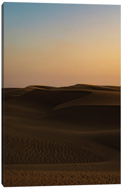 Desert Skies, Sunset Canvas Art Print - Sean Marier