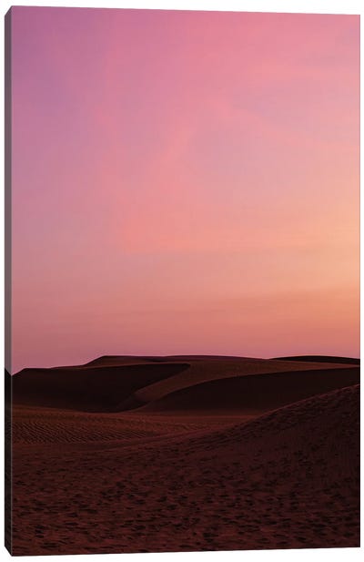 Painted Desert Sky Canvas Art Print - Sean Marier