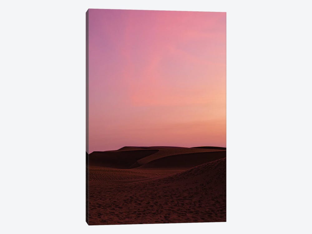 Painted Desert Sky by Sean Marier 1-piece Canvas Wall Art