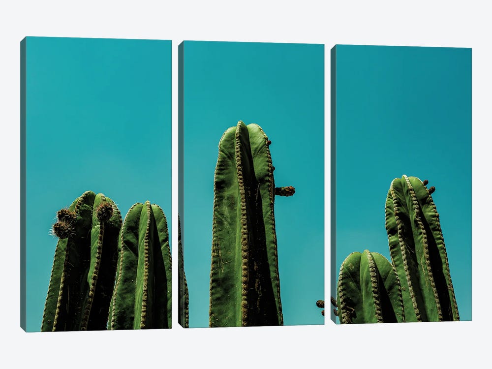 Cactus Skies by Sean Marier 3-piece Canvas Print
