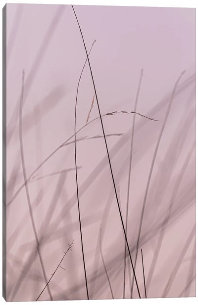 Delicate, Pink Canvas Art Print - Grass Art