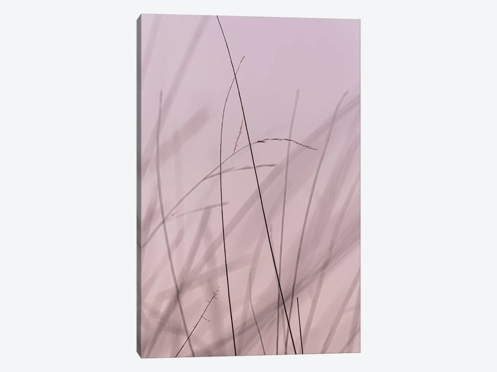 Delicate, Pink by Sean Marier 1-piece Canvas Art Print