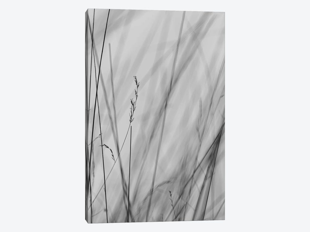 Fine Lines, Black And White by Sean Marier 1-piece Canvas Art