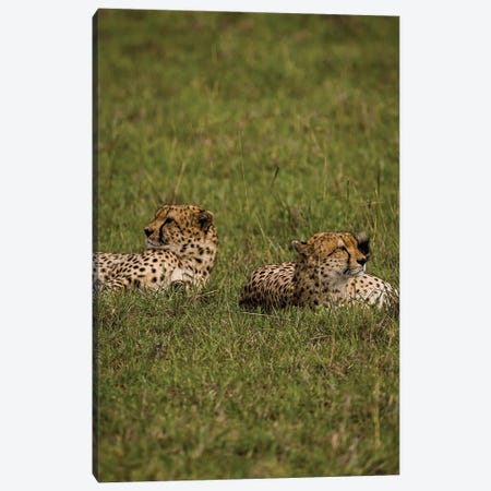 Back To Back Canvas Print #SMX395} by Sean Marier Canvas Art